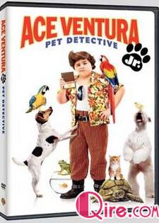 神探飞机头第三部