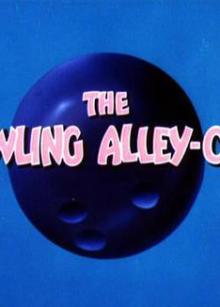 保龄球馆里的猫