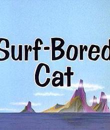 冲浪猫