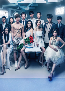 高段位时尚养成记