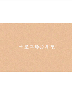 十里洋场拾年花