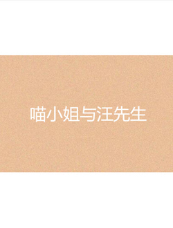 喵小姐与汪先生