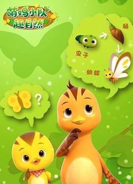 萌鸡小队趣自然