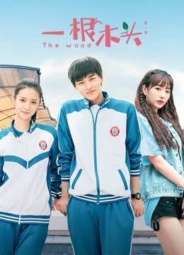 一根木头第一季