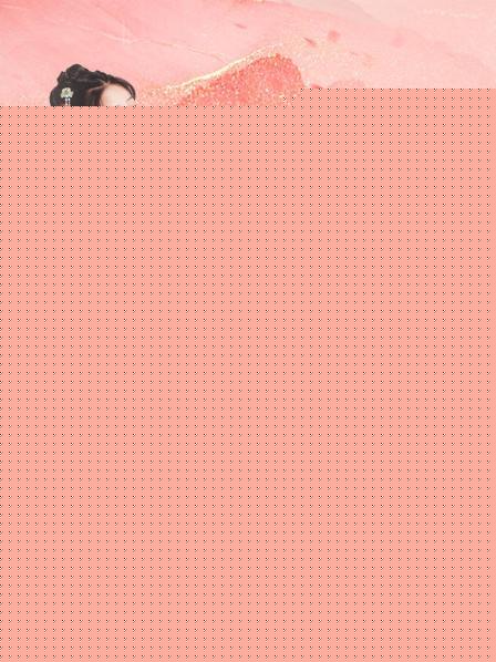 王爷的贴身女刺客